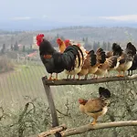Oda ve Kahvaltı Le Terrazze Del Chianti Residenza D'epoca E Di Charme San Donato in Poggio