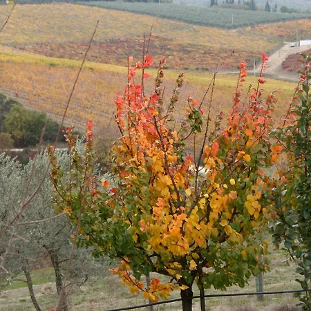 Bed & Breakfast Le Terrazze Del Chianti San Donato in Poggio