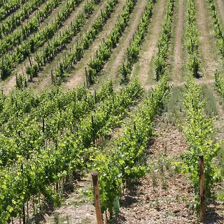 Bed & Breakfast Le Terrazze Del Chianti 3*