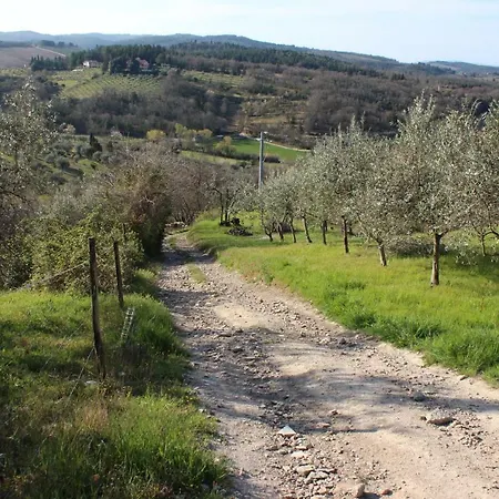 Nocleg ze śniadaniem Le Terrazze Del Chianti Residenza D'epoca E Di Charme 4*